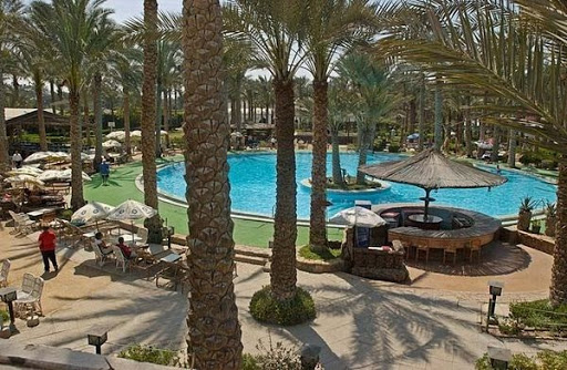 Day trip in Sakkara palm clup