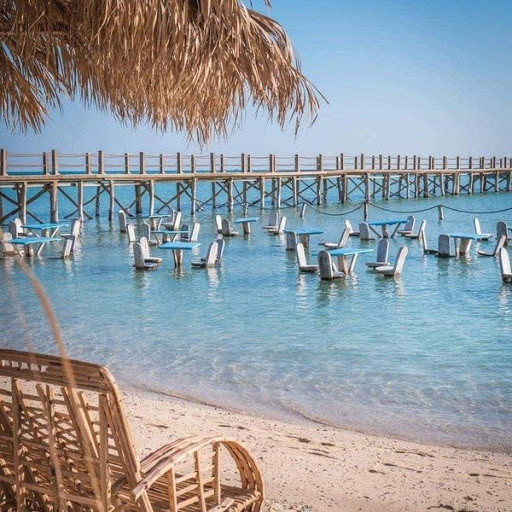 Day trip in Sakkara palm clup