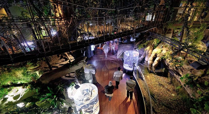 Dubai aquarium & underwater zoo in 3 hours