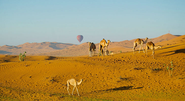 Hot Air Balloon Flight in Ras Al Khaimah Desert