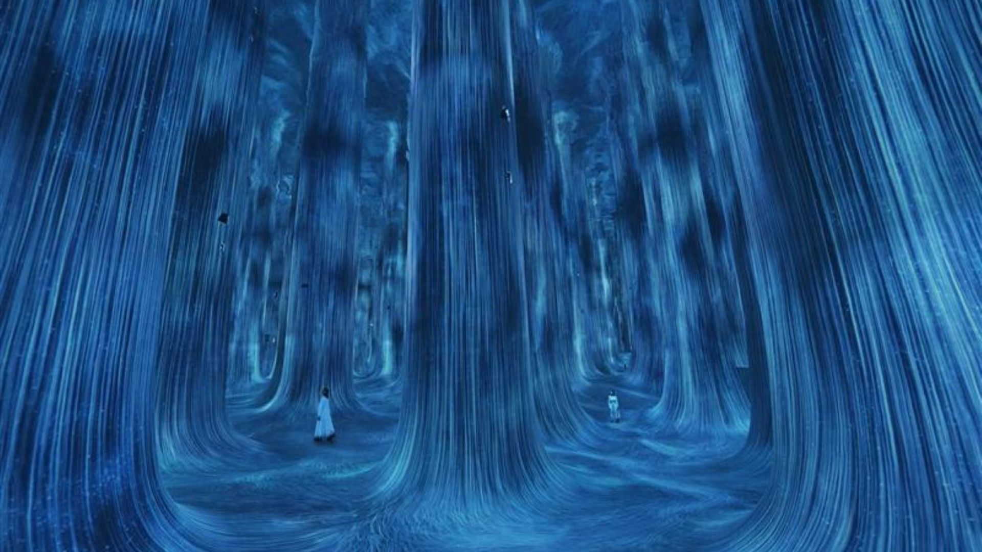 Entry Ticket to Teamlab Phenomena Museum