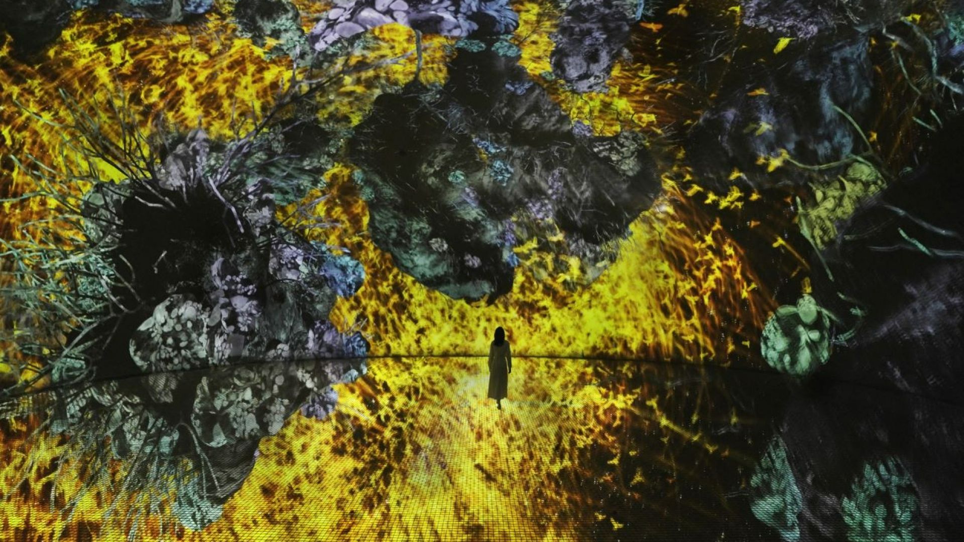 Entry Ticket to Teamlab Phenomena Museum