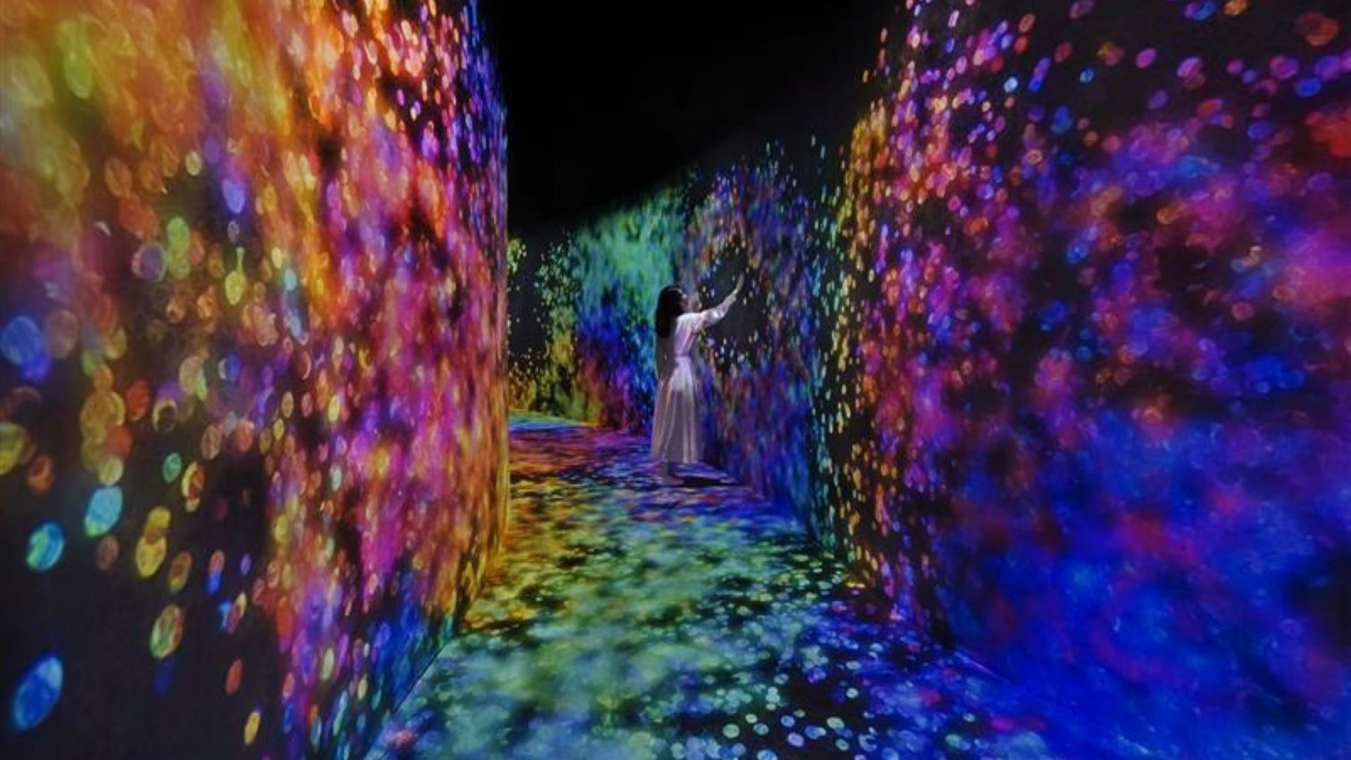 Entry Ticket to Teamlab Phenomena Museum