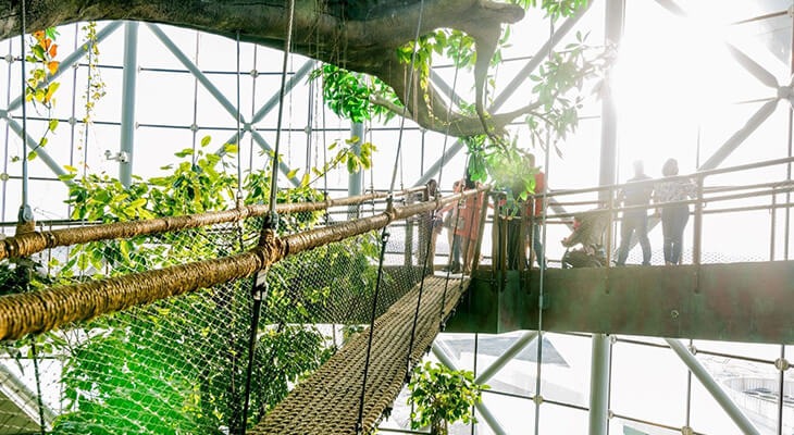 Day Pass Ticket to The Green Planet Dubai ( 8 hours) 