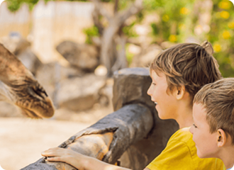 أفضل 5 حدائق حيوان في البحرين لعام 2024