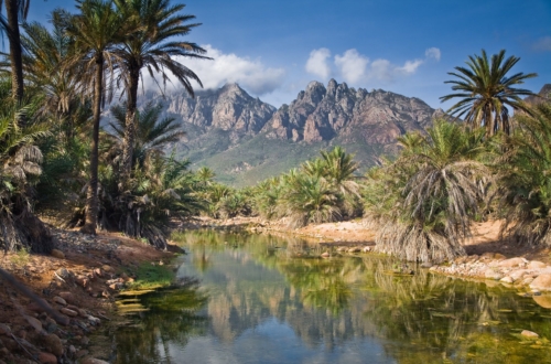 The most beautiful islands: The alien charm of Socotra Island