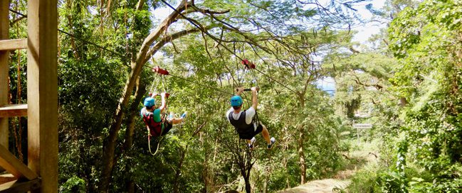 Central Reserve Rain Forest