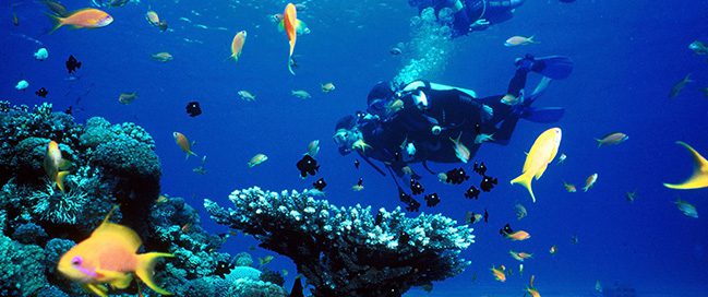 Scuba dive in Aqaba