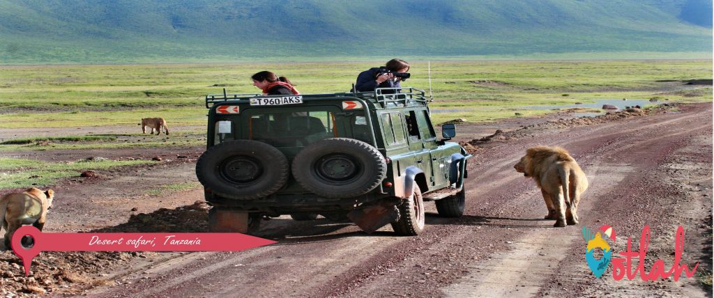 Types of  Safari Jeep Tours