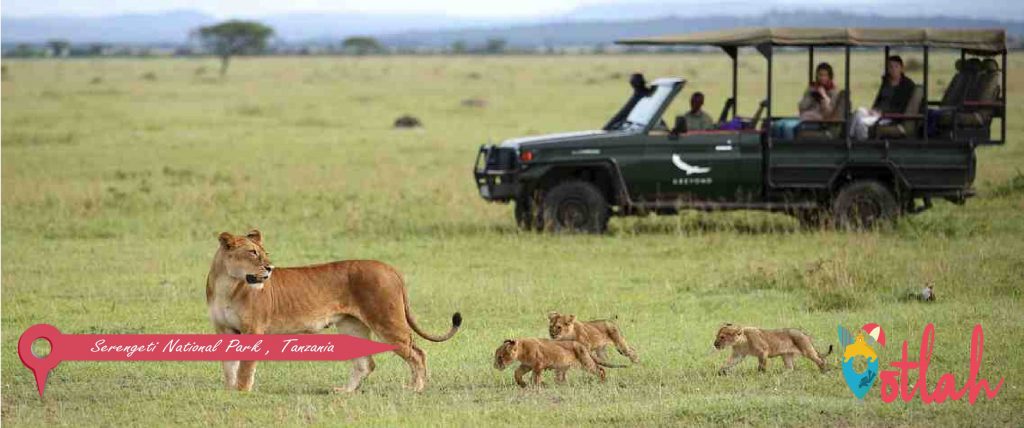 Best Safari jeep tours