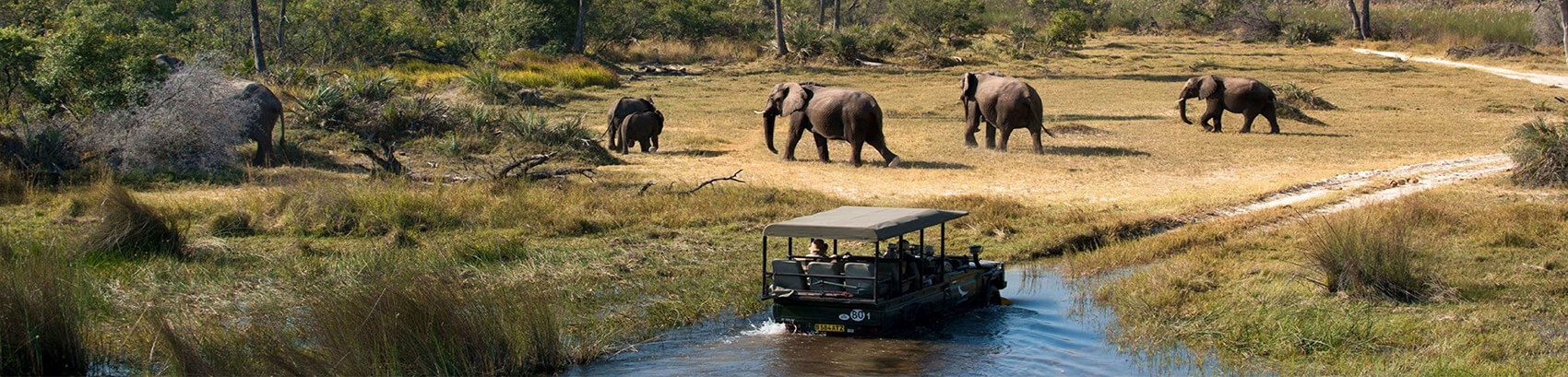 Safari Jeep Tours Between the Wildlife and Spectacular Deserts