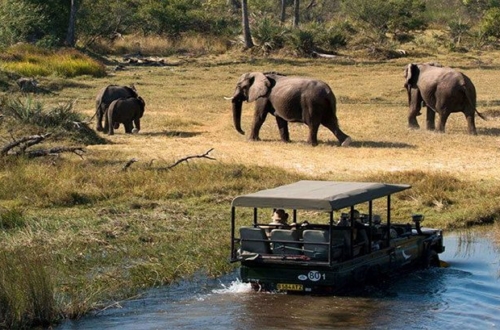 Safari Jeep Tours Between the Wildlife and Spectacular Deserts