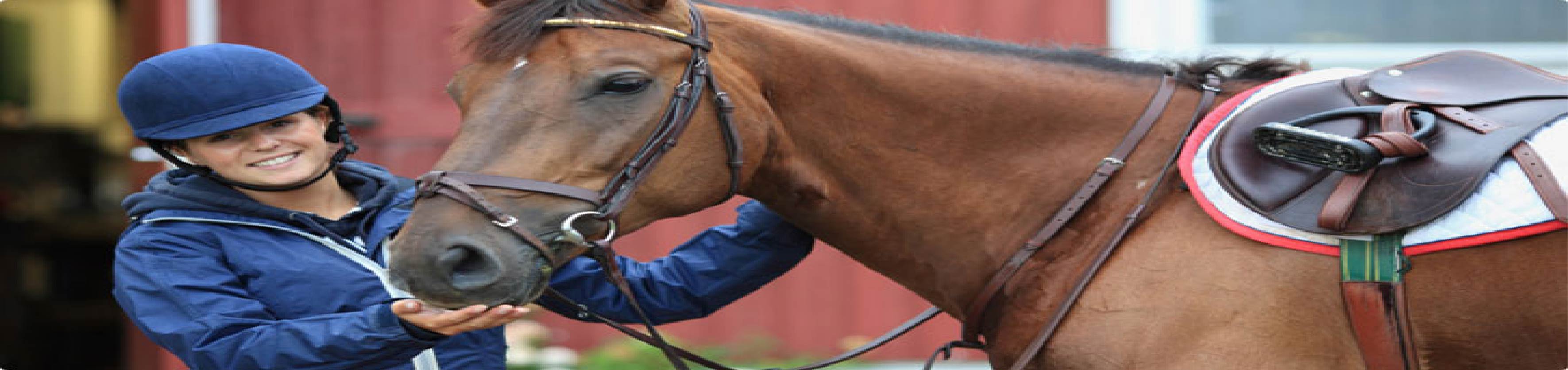 Horseback Riding: Best Horse Riding Tours around the world