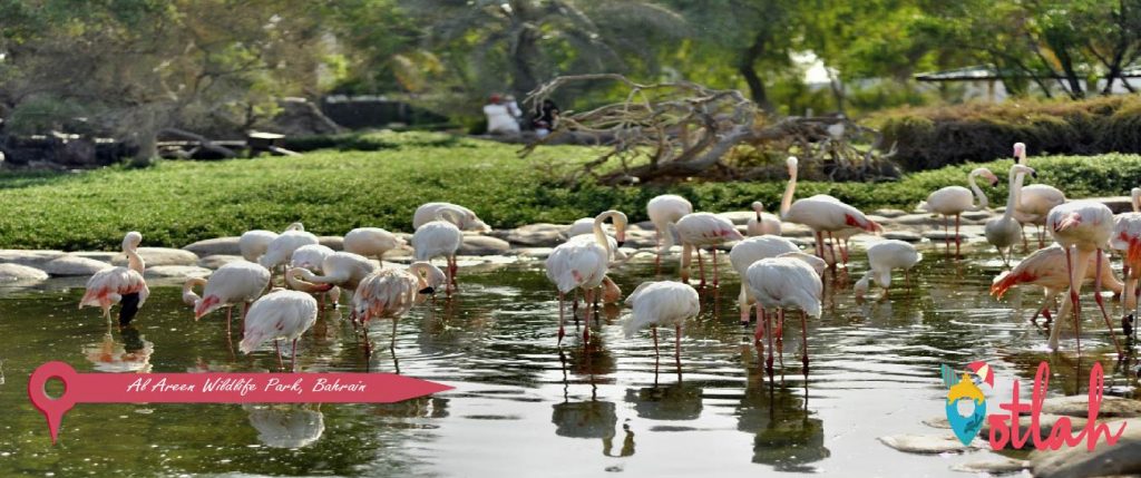 Al Areen Wildlife Park