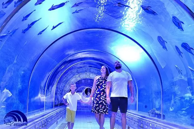 Discover the Red Sea with Hurghada Grand Aquarium