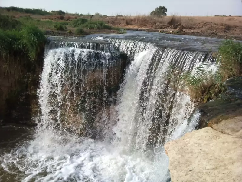 استمتع بجولة نهارية إلى واحة الفيوم ووادي الريان