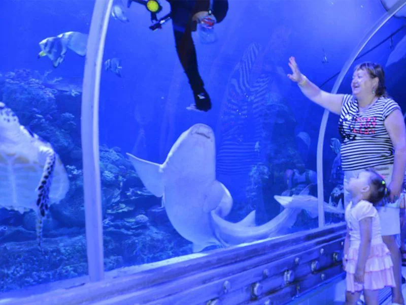 Discover the Red Sea with Hurghada Grand Aquarium