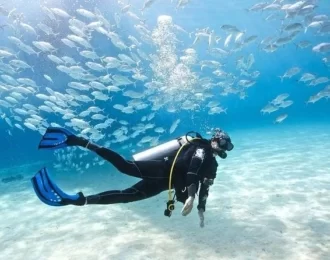 PADI Open Water Diver course