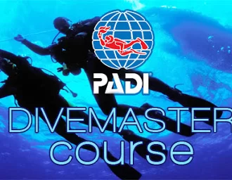 PADI Divemaster Course