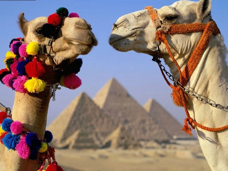 pyramids Full Day Tour with Egyptology speaking guide