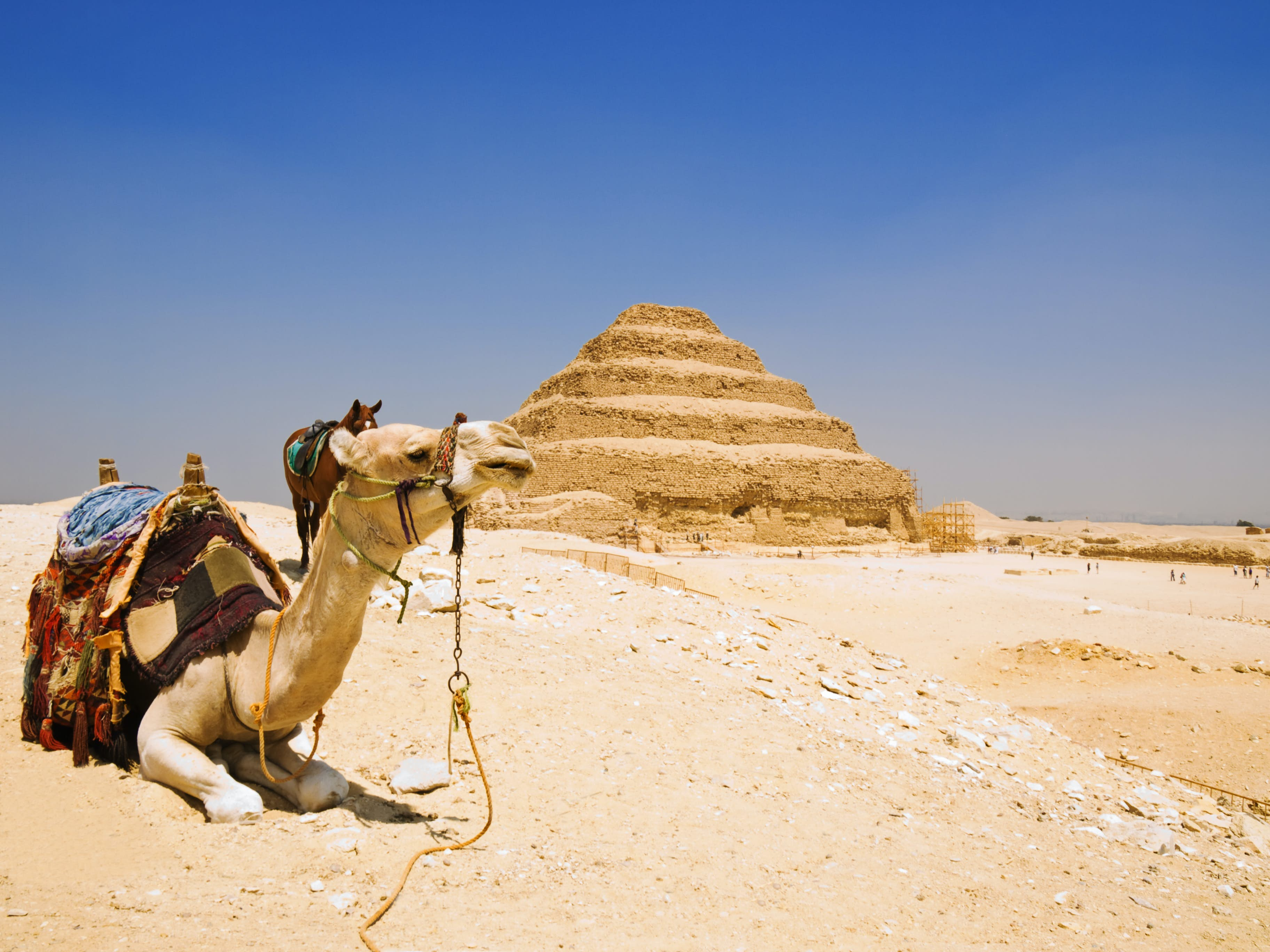 Amazing Giza Day Tour