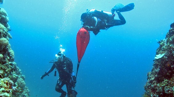 rescue diver course