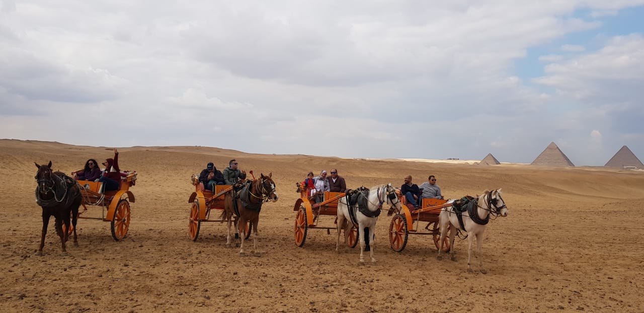 استمتع بالأجواء الريفية ورحلات السفاري