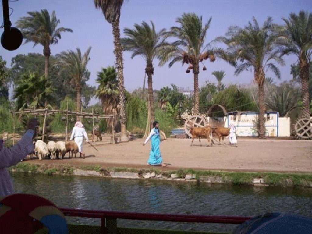 The Pharaonic Village trip for couples