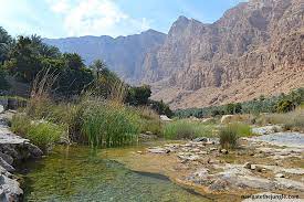 Wadi Bani Awf Tour