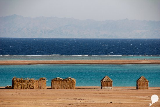 Yoga in Dahab