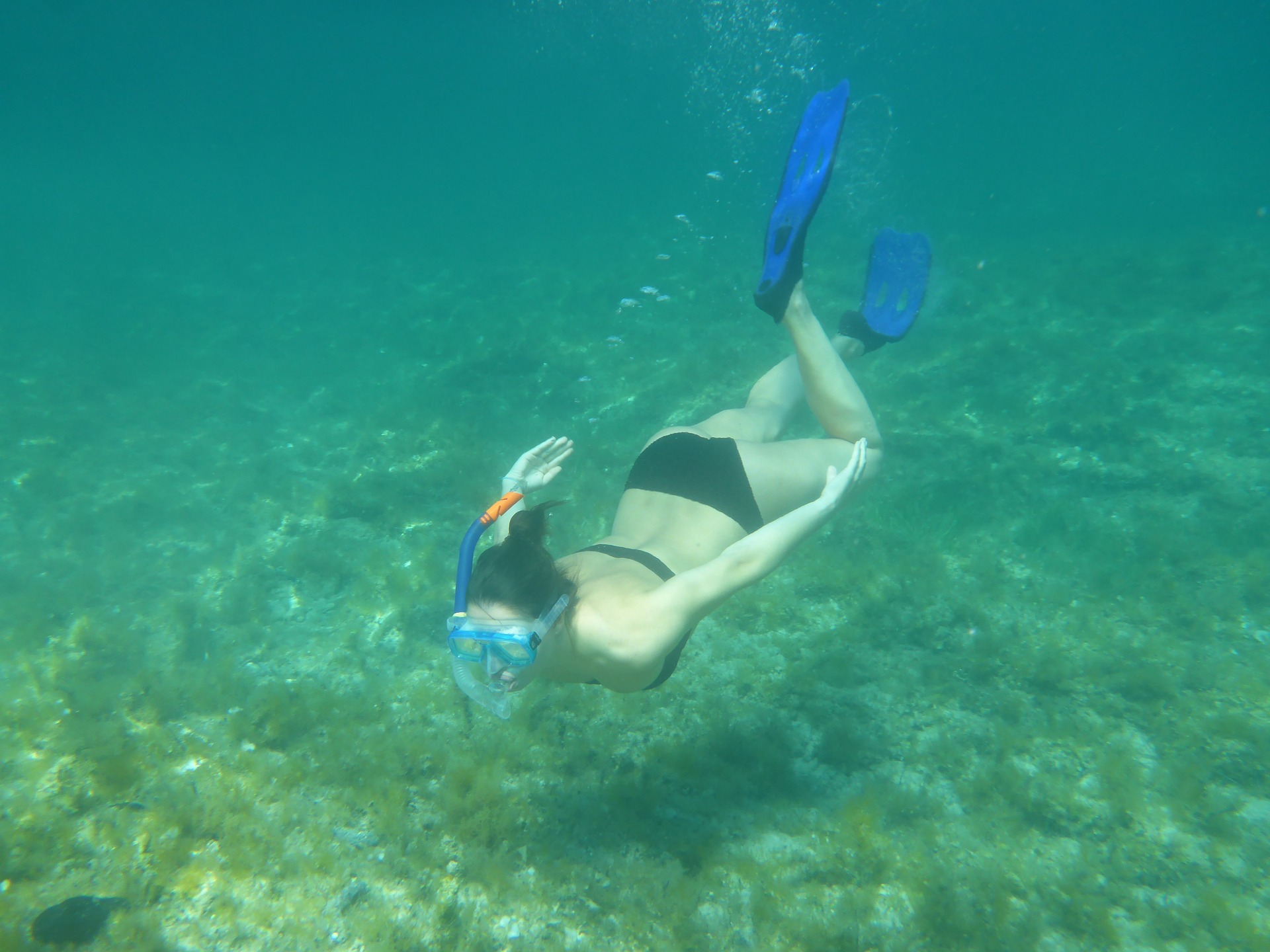 Snorkeling in the waters of Muscat 