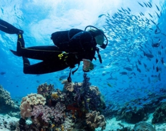 Adventure Diver - Dicing course in Marsa Alam