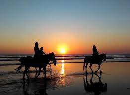 Horse Riding in Sharm el Sheikh Desert