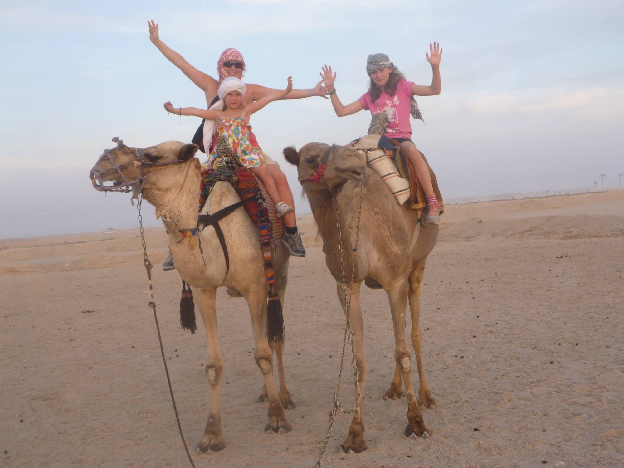 Camel Riding Marsa Alam Day Tour