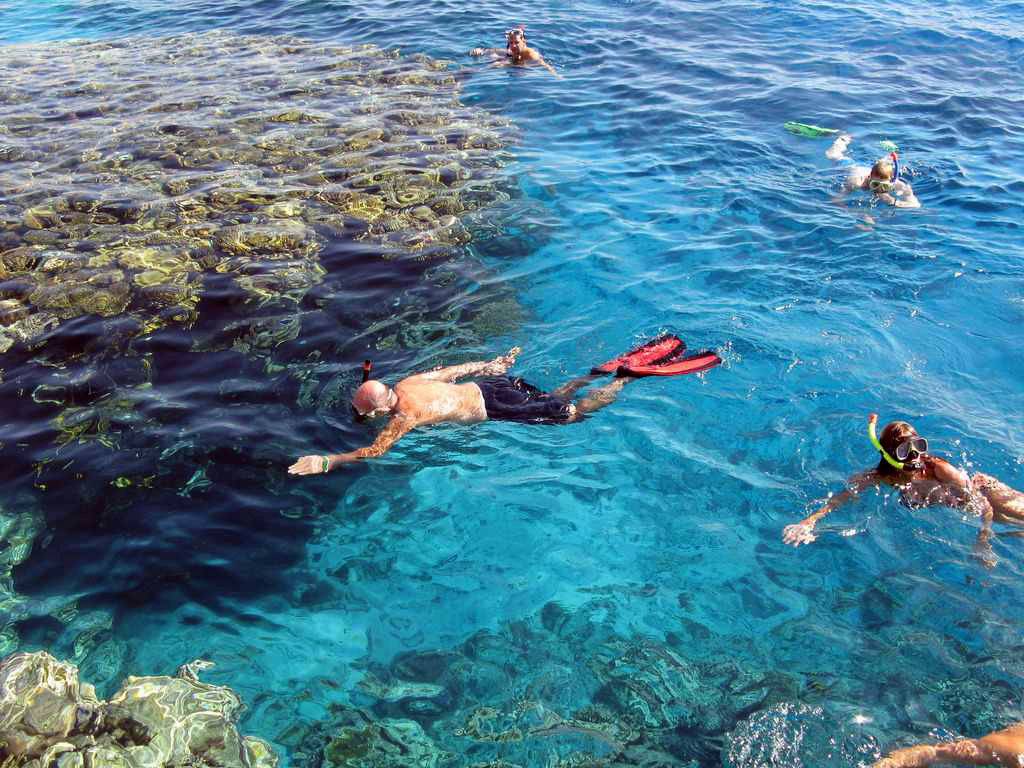 Overnight snorkeling trip at sataya dolphin reef Marsa Alam