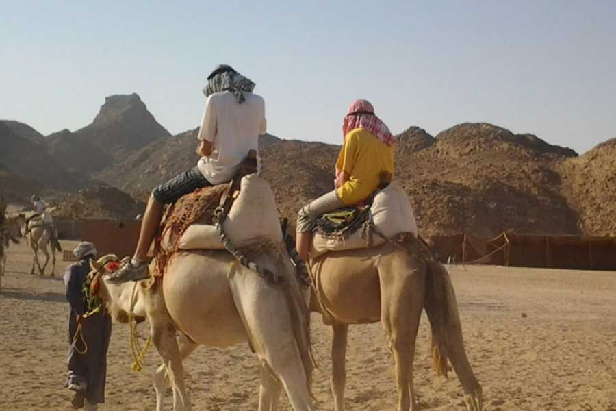 Aladin Safari from Marsa Alam