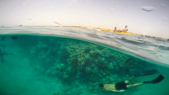 Day snorkeling trip to Sharm El Luli and Wadi El Qulaanv