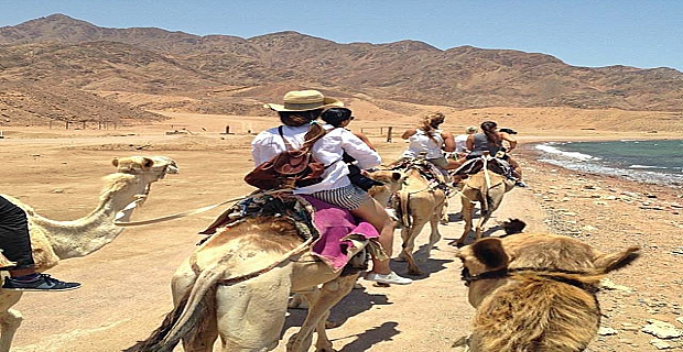 Quad Bike and Camel Safari in Sharm El Sheikh