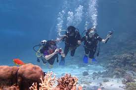 Intro Diving Course