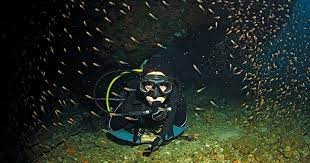 Enjoy a Night Diving