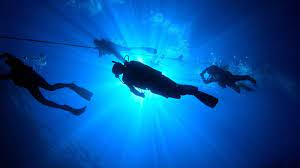 PADI Specialty Instructor