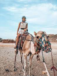 Camel Riding Marsa Alam Day Tour