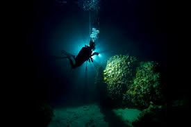 Enjoy a Night Diving