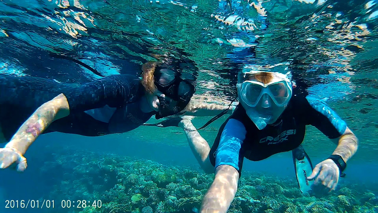 Snorkeling tours in Sharm El Luli