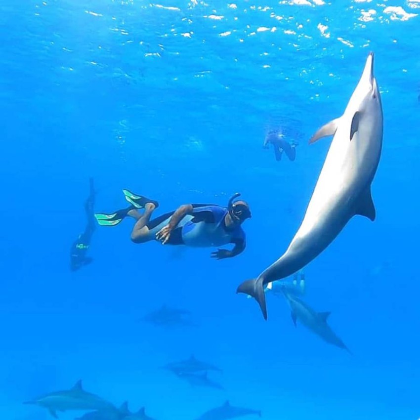 Snorkeling into the dolphin house in Marsa Alam