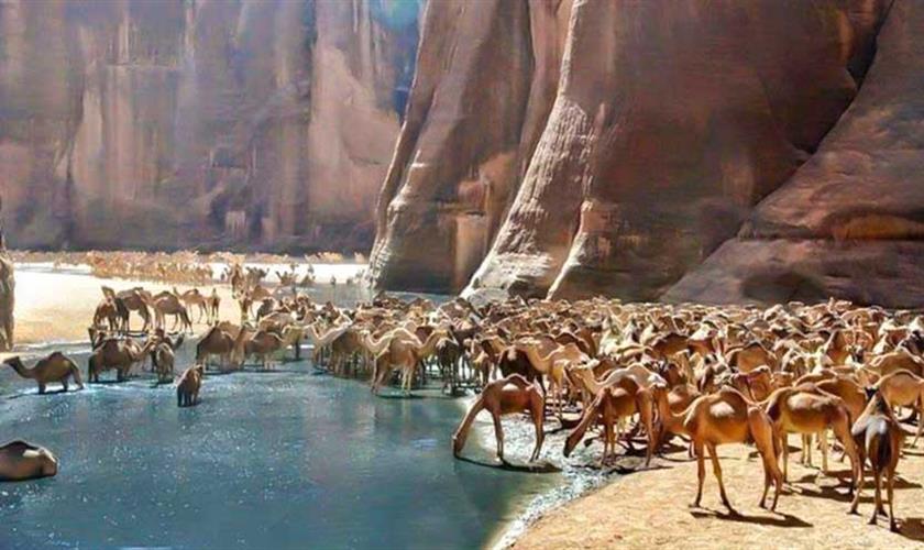 Wadi El Gemal Excursions In Marsa Alam