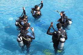 Update your dive skills with scuba refresher