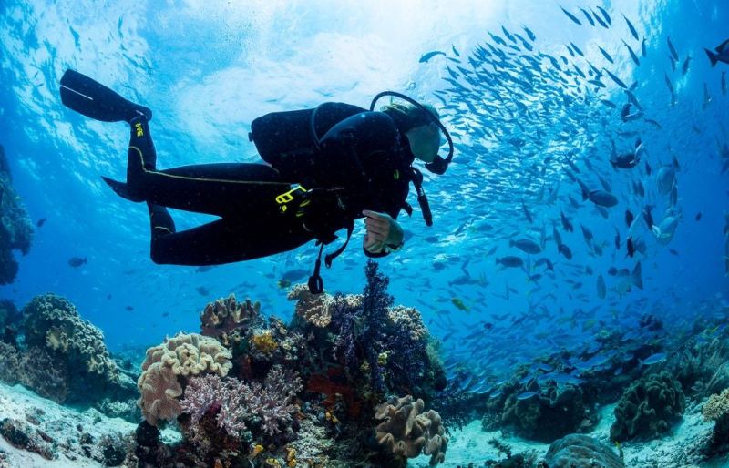 PADI IDC in Hurghada