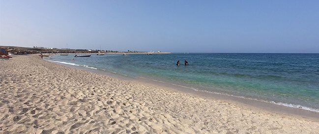 Abu Dabbab Beach: sea turtles dugongs, and crystal clear waters