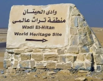 An astronomical observation trip in which we will see the arm of the galaxy, meteors and stars clearly in Wadi Al-Hitan